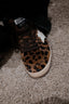 Golden Goose - Sneakers - Ballstar - Brown / Cream