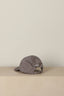 Ralph Lauren - Pet - Cls sprt cap - Grey/White - BYLOTTE